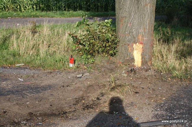 Rodzinna tragedia pod Rokosowem - zdjęcia
