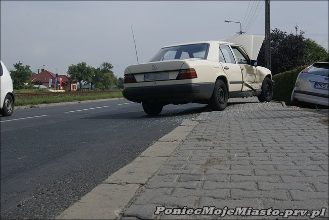 Focusem w żywopłot - zdjęcia