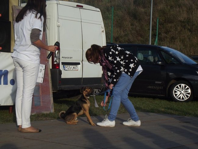 Sobota z tortem i zwierzakami - zdjęcia