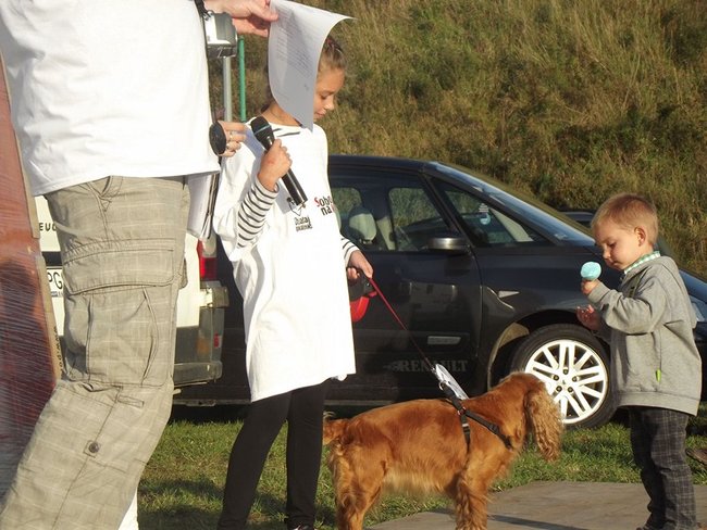 Sobota z tortem i zwierzakami - zdjęcia