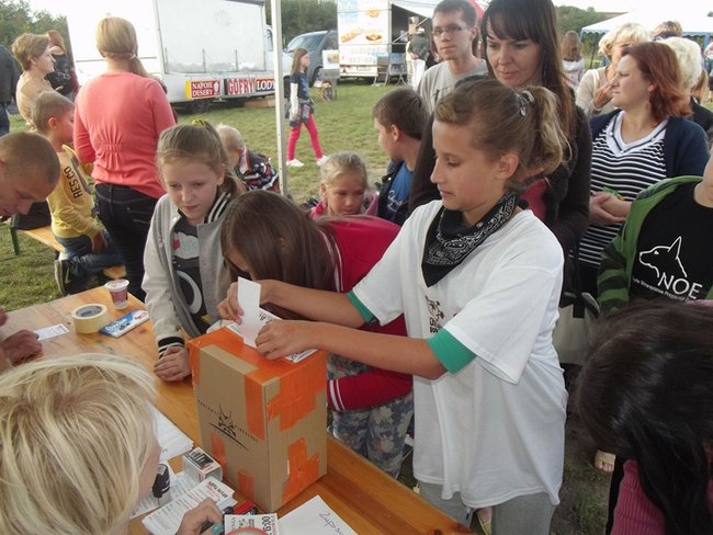 Sobota z tortem i zwierzakami - zdjęcia