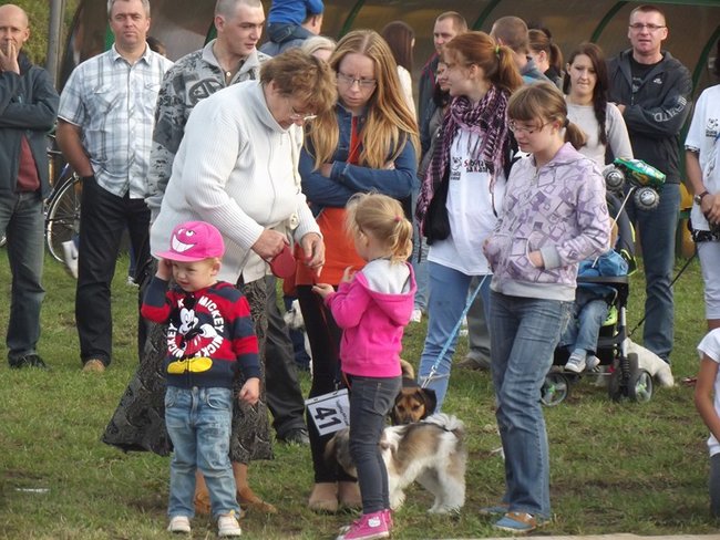 Sobota z tortem i zwierzakami - zdjęcia