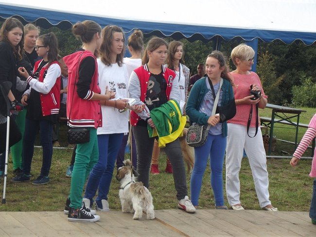 Sobota z tortem i zwierzakami - zdjęcia