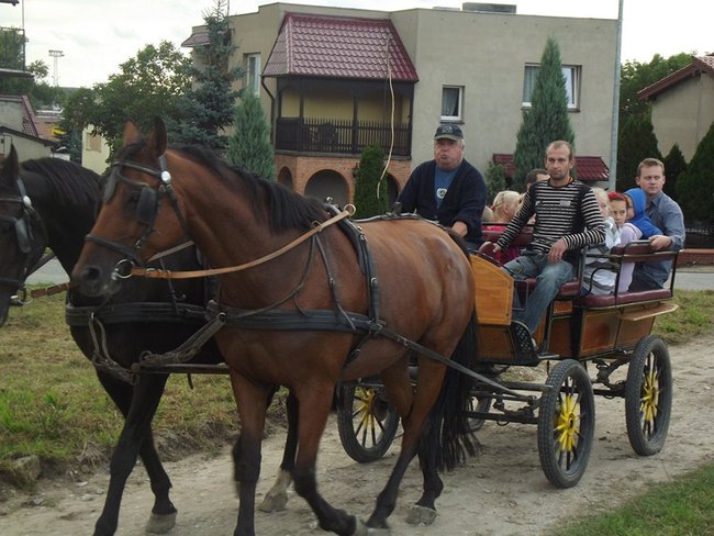 Sobota z tortem i zwierzakami - zdjęcia