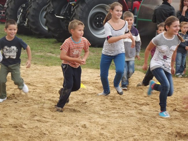Sobota z tortem i zwierzakami - zdjęcia