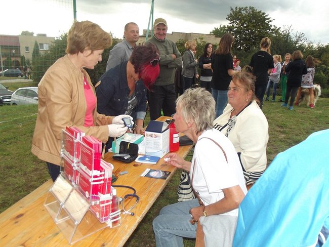Sobota z tortem i zwierzakami - zdjęcia
