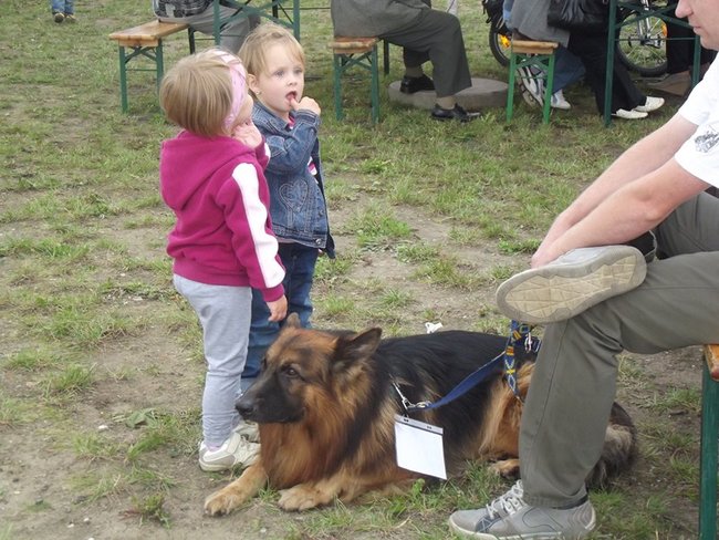Sobota z tortem i zwierzakami - zdjęcia