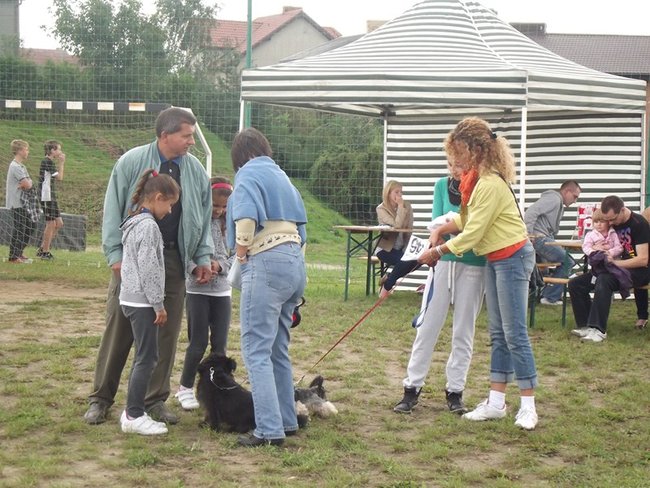 Sobota z tortem i zwierzakami - zdjęcia