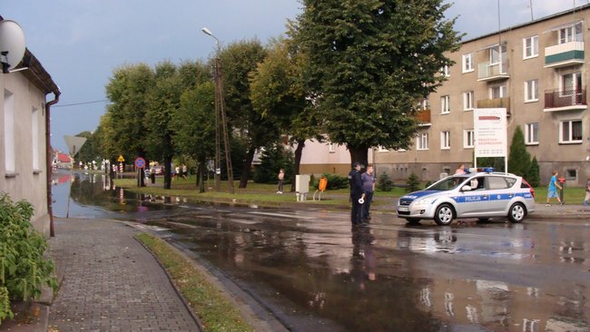 Drzewo runęło tuż przed nim - zdjęcia