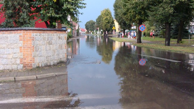 Drzewo runęło tuż przed nim - zdjęcia