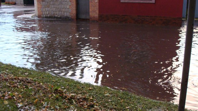 Drzewo runęło tuż przed nim - zdjęcia