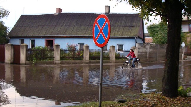 Drzewo runęło tuż przed nim - zdjęcia