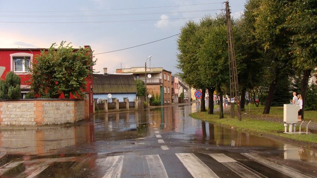 Drzewo runęło tuż przed nim - zdjęcia