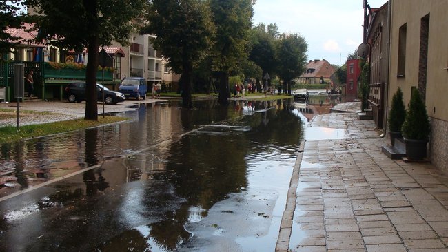 Drzewo runęło tuż przed nim - zdjęcia