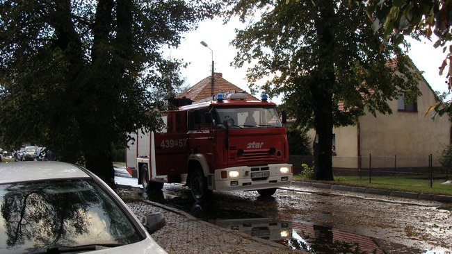 Drzewo runęło tuż przed nim - zdjęcia