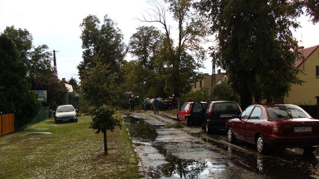 Drzewo runęło tuż przed nim - zdjęcia