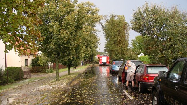 Drzewo runęło tuż przed nim - zdjęcia