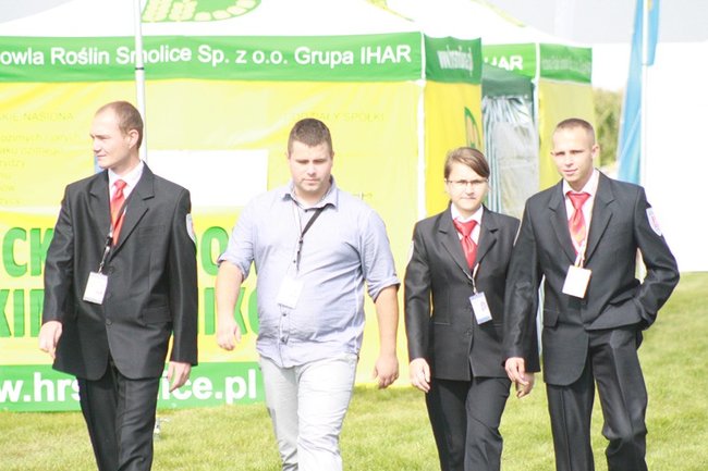 Tłumy na kukurydzianych polach - zdjęcia
