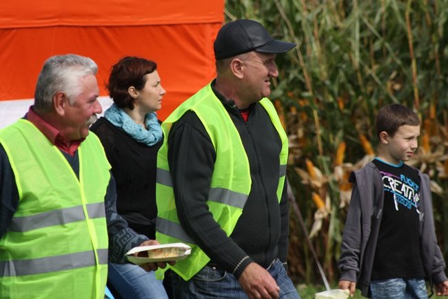 Tłumy na kukurydzianych polach - zdjęcia