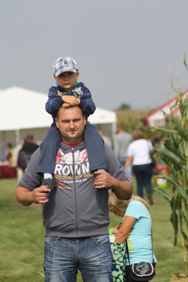 Tłumy na kukurydzianych polach - zdjęcia