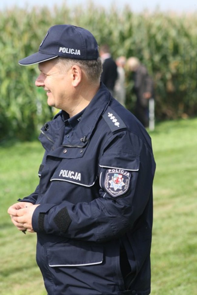 Tłumy na kukurydzianych polach - zdjęcia