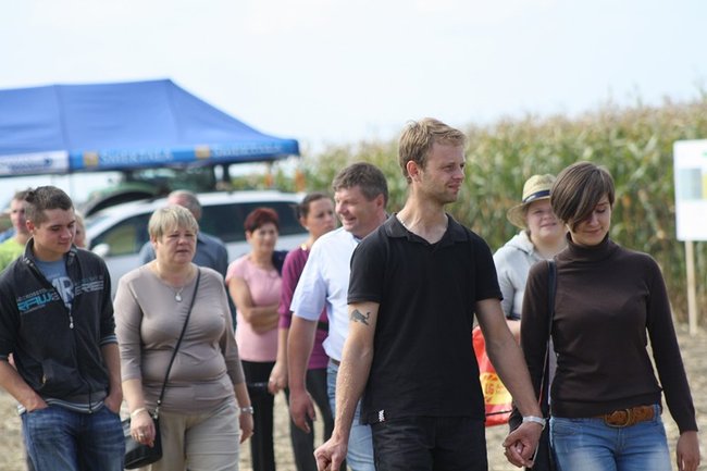 Tłumy na kukurydzianych polach - zdjęcia