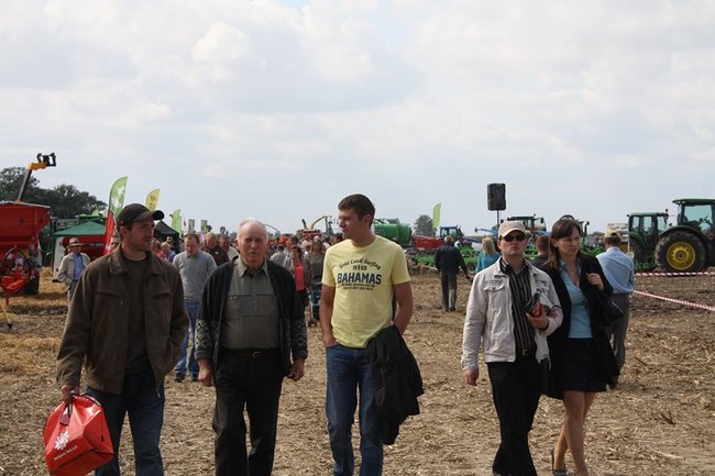 Tłumy na kukurydzianych polach - zdjęcia