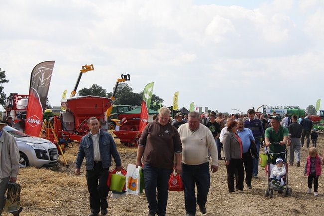Tłumy na kukurydzianych polach - zdjęcia