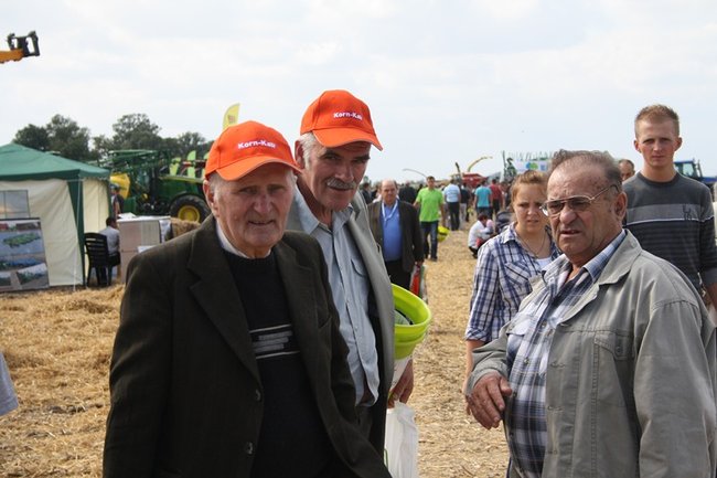 Tłumy na kukurydzianych polach - zdjęcia