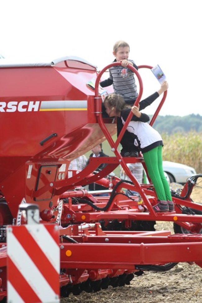 Tłumy na kukurydzianych polach - zdjęcia