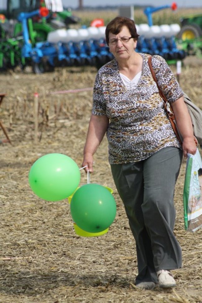 Tłumy na kukurydzianych polach - zdjęcia