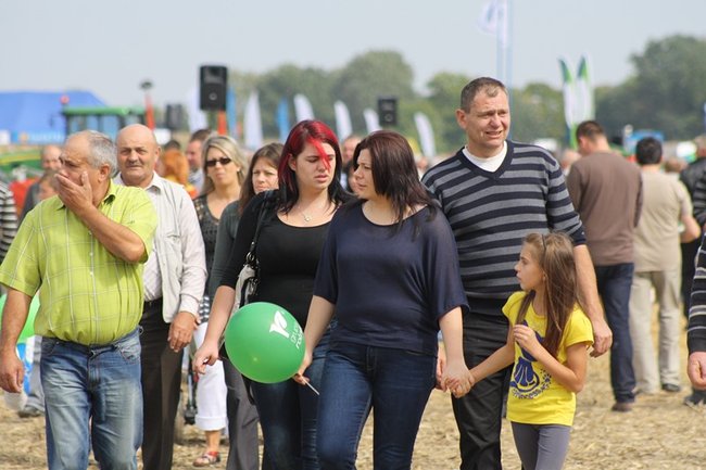 Tłumy na kukurydzianych polach - zdjęcia