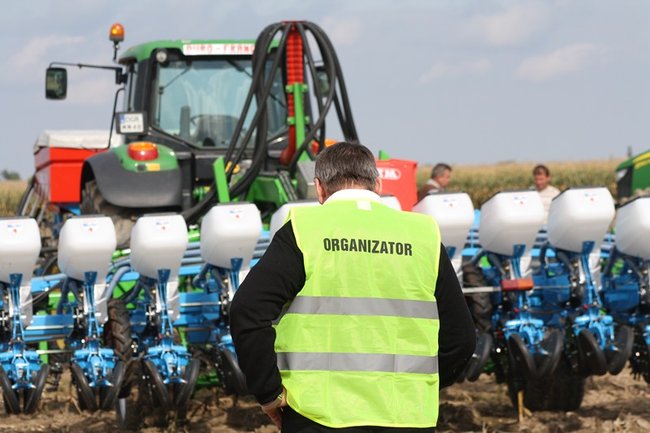 Tłumy na kukurydzianych polach - zdjęcia