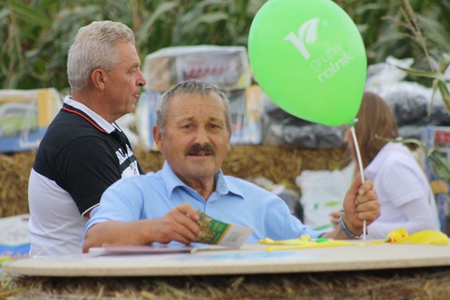 Tłumy na kukurydzianych polach - zdjęcia