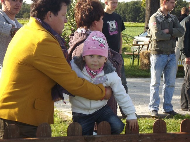 Na św. Tekli, ziemniaki  też piekli - zdjęcia