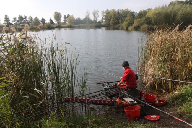 Mistrz wyciągnął 11 kg płoci - zdjęcia