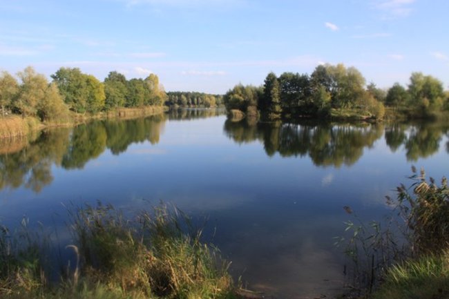 Mistrz wyciągnął 11 kg płoci - zdjęcia