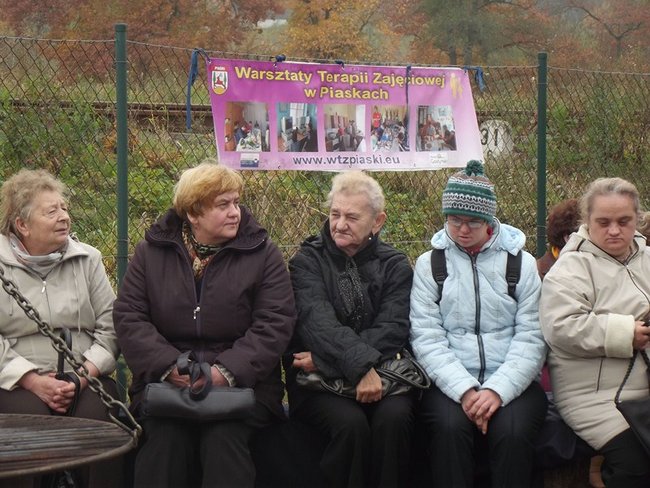 Drugie życie ogródka - zdjęcia