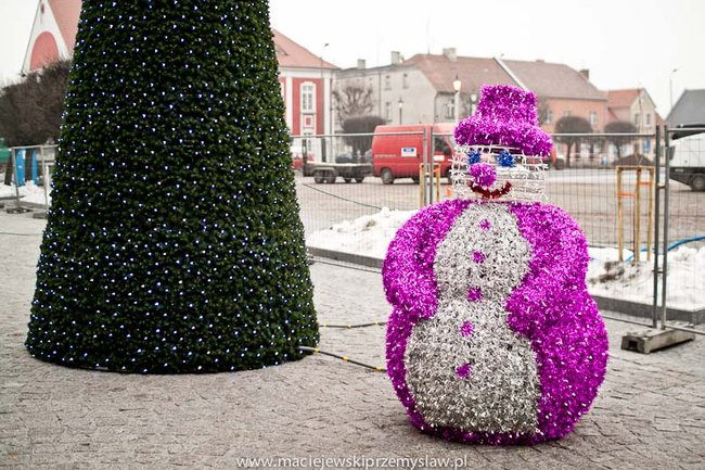 Lepsza żywa czy ekologiczna? - zdjęcia