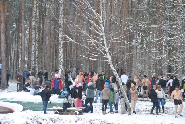 Rekord morsów pobity! - zdjęcia