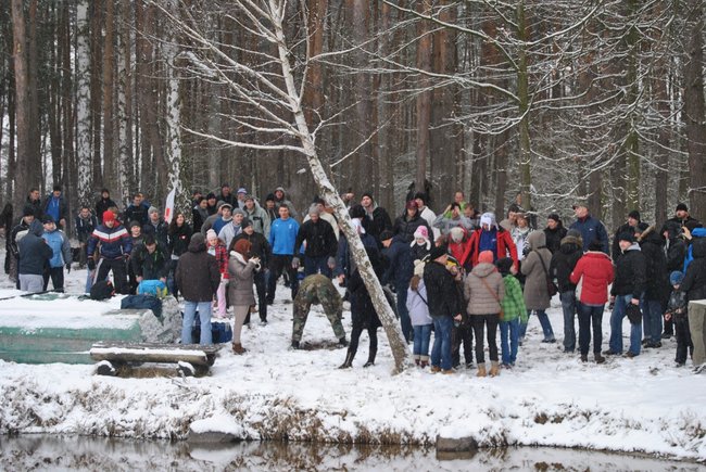 Rekord morsów pobity! - zdjęcia
