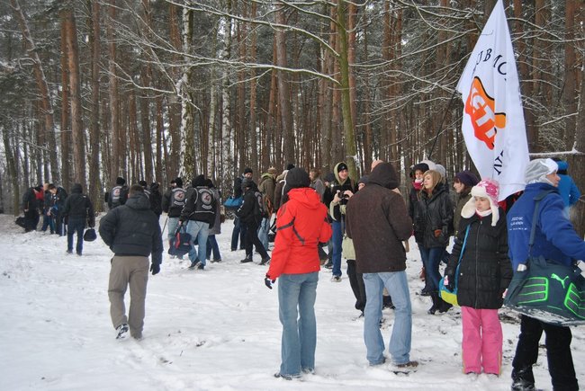 Rekord morsów pobity! - zdjęcia