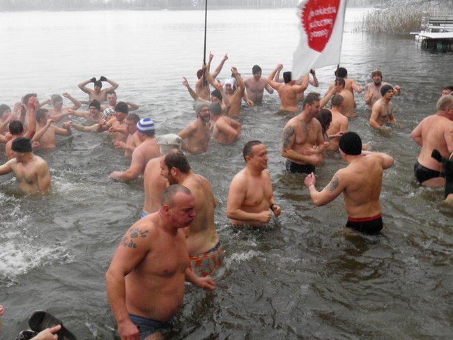 Rekord morsów pobity! - zdjęcia