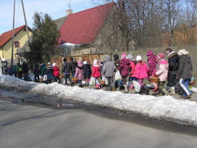 Szukali zająca w śniegu - zdjęcia
