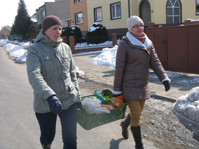 Szukali zająca w śniegu - zdjęcia