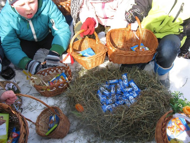 Szukali zająca w śniegu - zdjęcia