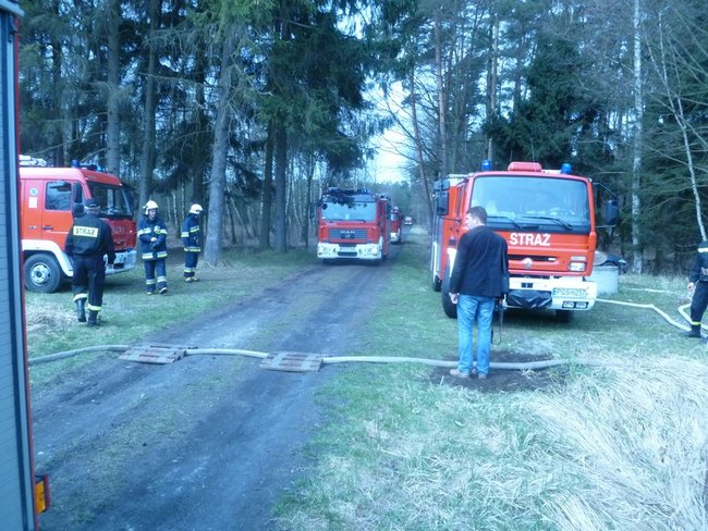 Płonął las w Międzyborzu - zdjęcia