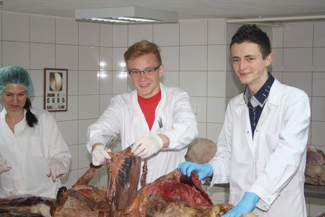 Pełne szkoły w sobotnią noc - zdjęcia