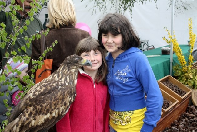 Festyn w stylu eko - zdjęcia