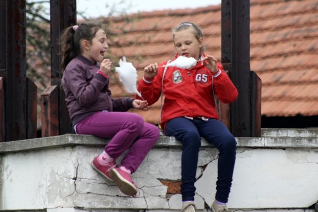 Festyn w stylu eko - zdjęcia